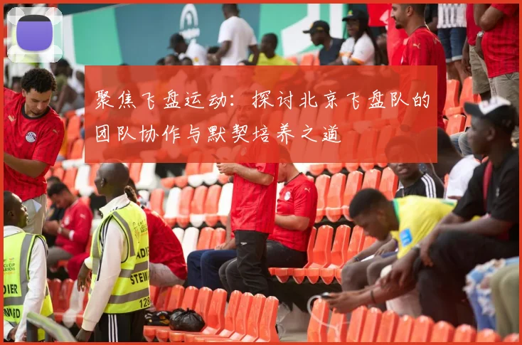 聚焦飞盘运动：探讨北京飞盘队的团队协作与默契培养之道