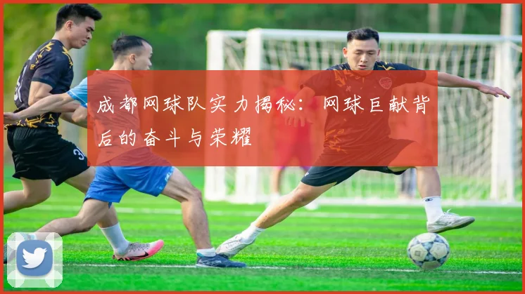 成都网球队实力揭秘：网球巨献背后的奋斗与荣耀
